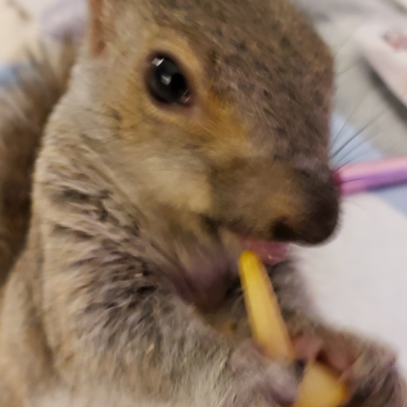 Meet your Posher, Tresa - Picture 4 of 4